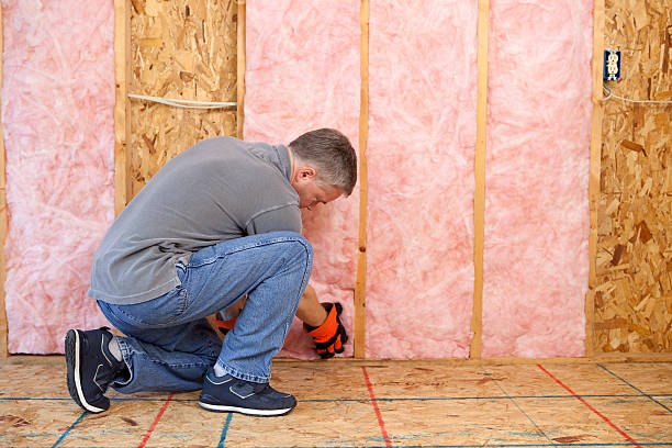 Best Cellulose Insulation in Saratoga, WY