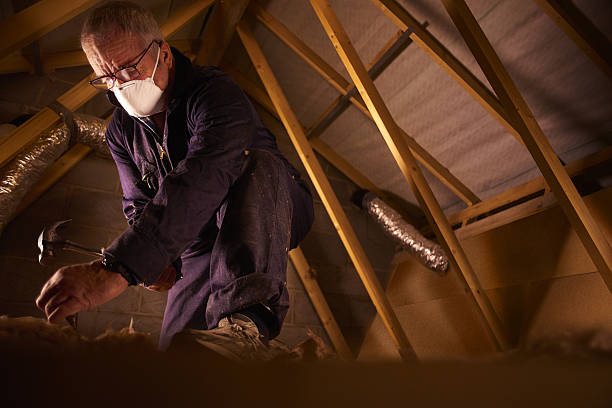 Best Insulation Maintenance and Repair in Saratoga, WY
