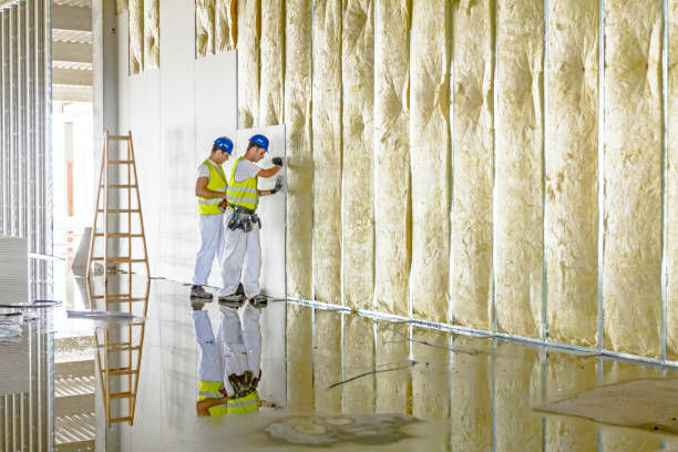Best Energy Efficiency Insulation in Saratoga, WY